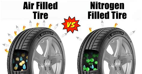 Can You Put Air in a Nitrogen Filled Tire? And Why Do Birds Suddenly Appear Every Time You Check Your Tire Pressure?