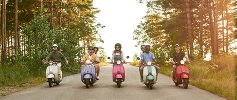 Do You Need a License to Drive a Mini Bike? And Why Do Squirrels Always Seem to Cross the Road at the Worst Possible Moment?